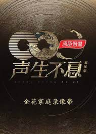 声生不息&middot;家年华金花家庭录像带