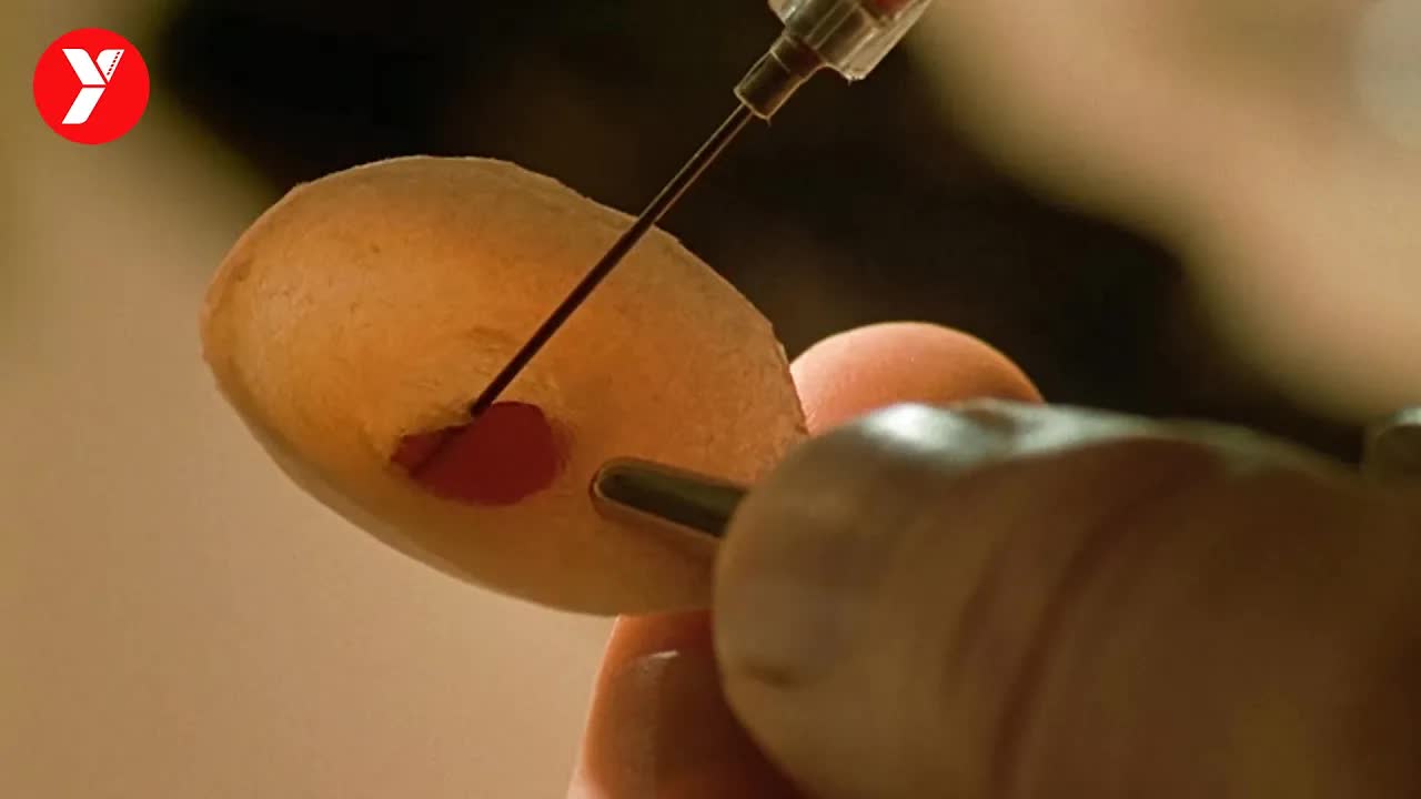 【越哥】到处都是天才的世界里，基因不好的&ldquo;下等人&rdquo;如何逆天改命？