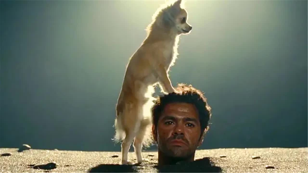 这就是&ldquo;耳朵怀孕&rdquo;？骗子导游为挣钱不择手段，结果被原始部落囚禁，还惨遭野狗日头！